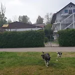 Проживание в семье Casa Carina *