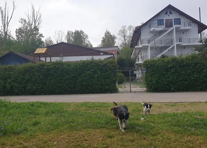 Accommodatie bij particulieren Casa Carina *