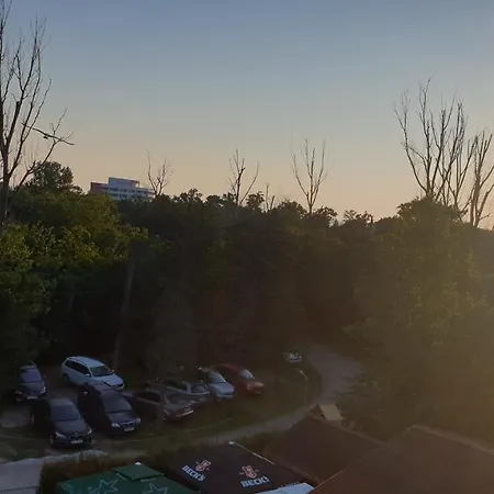 Casa Carina Séjour chez l'habitant Jupiter