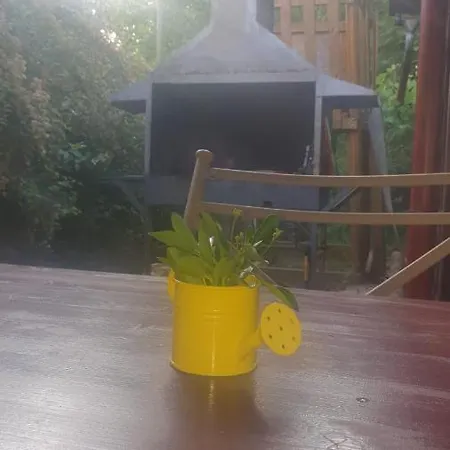 Accommodatie bij particulieren Casa Carina *